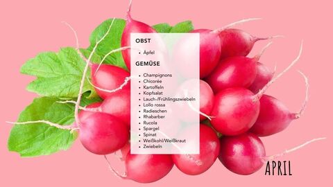 Saisonkalender April  Grafik mit Produkten