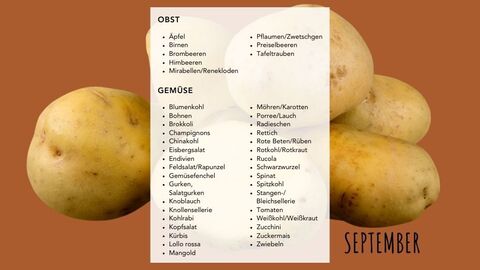 Saisonkalender September