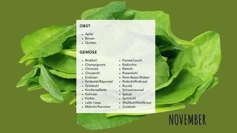 Saisonkalender November