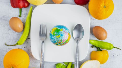 Nachhaltigkeit und Ernährung Teller mit einer Weltkugel darauf