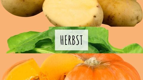 Rezepte und Warenkunde Collage zum Herbst