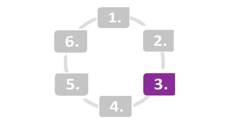 Arbeitskreis mit 6 Schritten, bei dem der 3. Schritt lila markiert ist