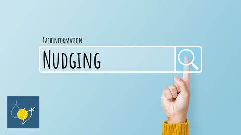 Grafik Fachinfos zu Nudging