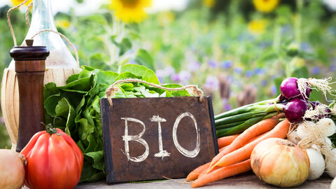 Ein Tisch mit Bio-Gemüse und einem Schild mit der Aufschrift "Bio"