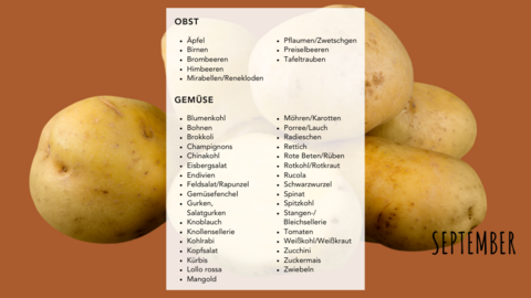 Saisonkalender September Saisonkalender September