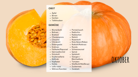 Saisonkalender Oktober Saisonkalender Oktober