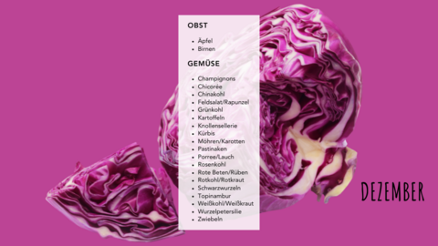 Saisonkalender Dezember Saisonkalender Dezember