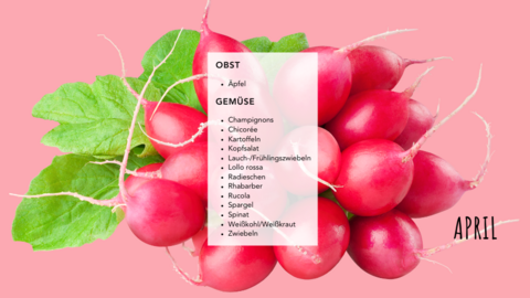 Saisonkalender April Saisonkalender April