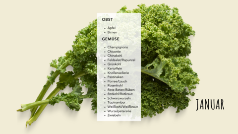 Januar Saisonkalender