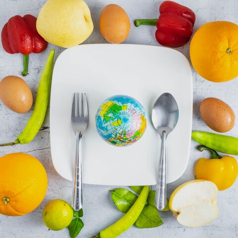 Nachhaltigkeit und Ernährung Ein Teller mit einer kleinen Weltkugel
